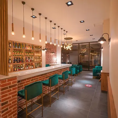 Hotel Amore 酒店 马尔马里斯