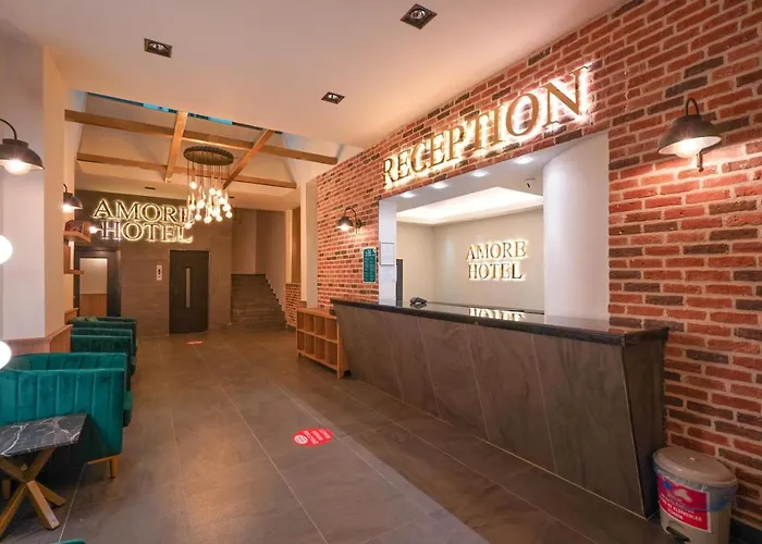 酒店 Hotel Amore 马尔马里斯