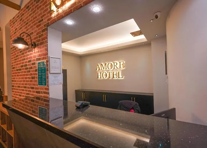 Hotel Amore 酒店 3*